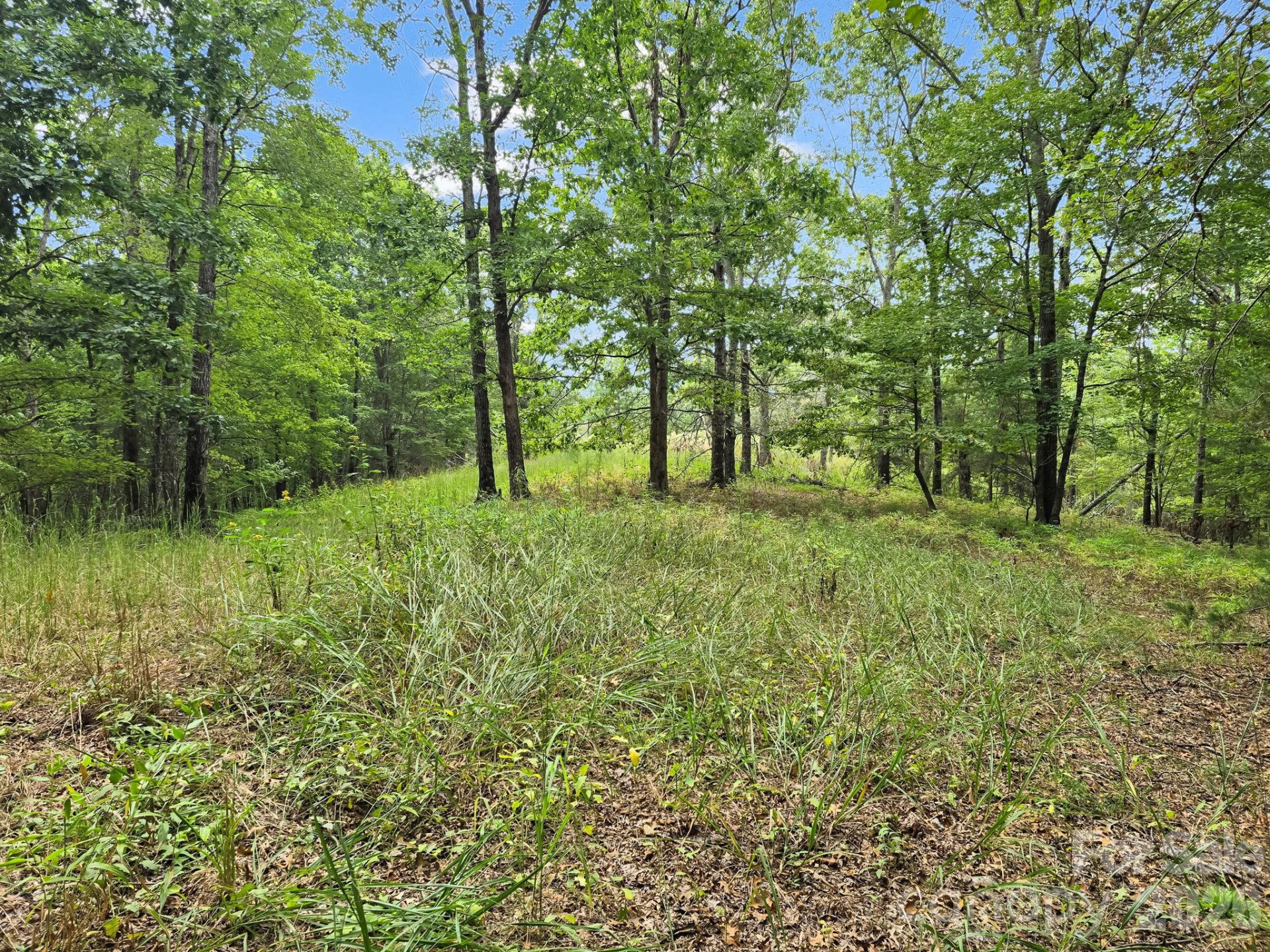 TBD Highland Farms Road #6 - Photo 17