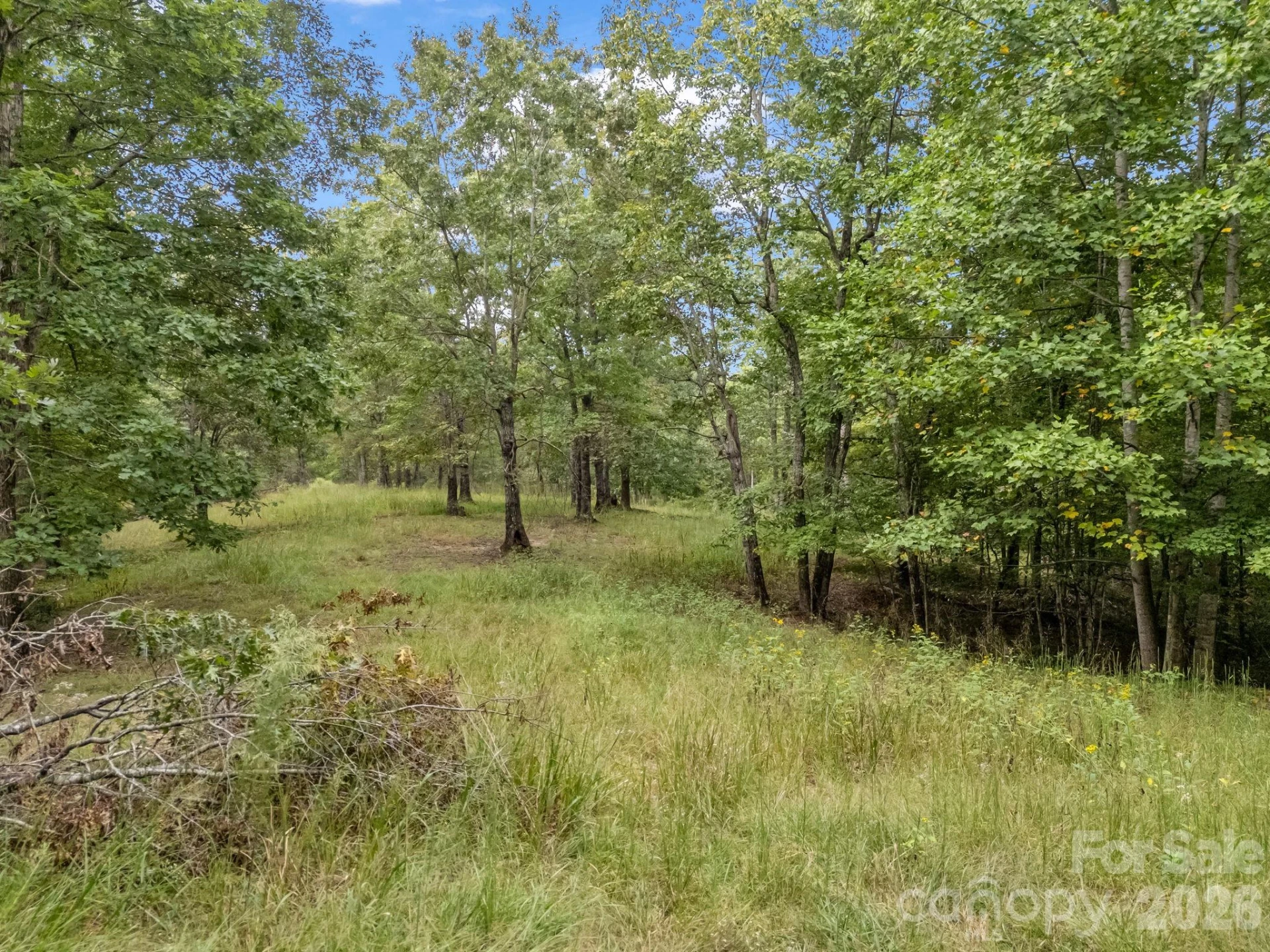TBD Highland Farms Road #6 - Photo 18