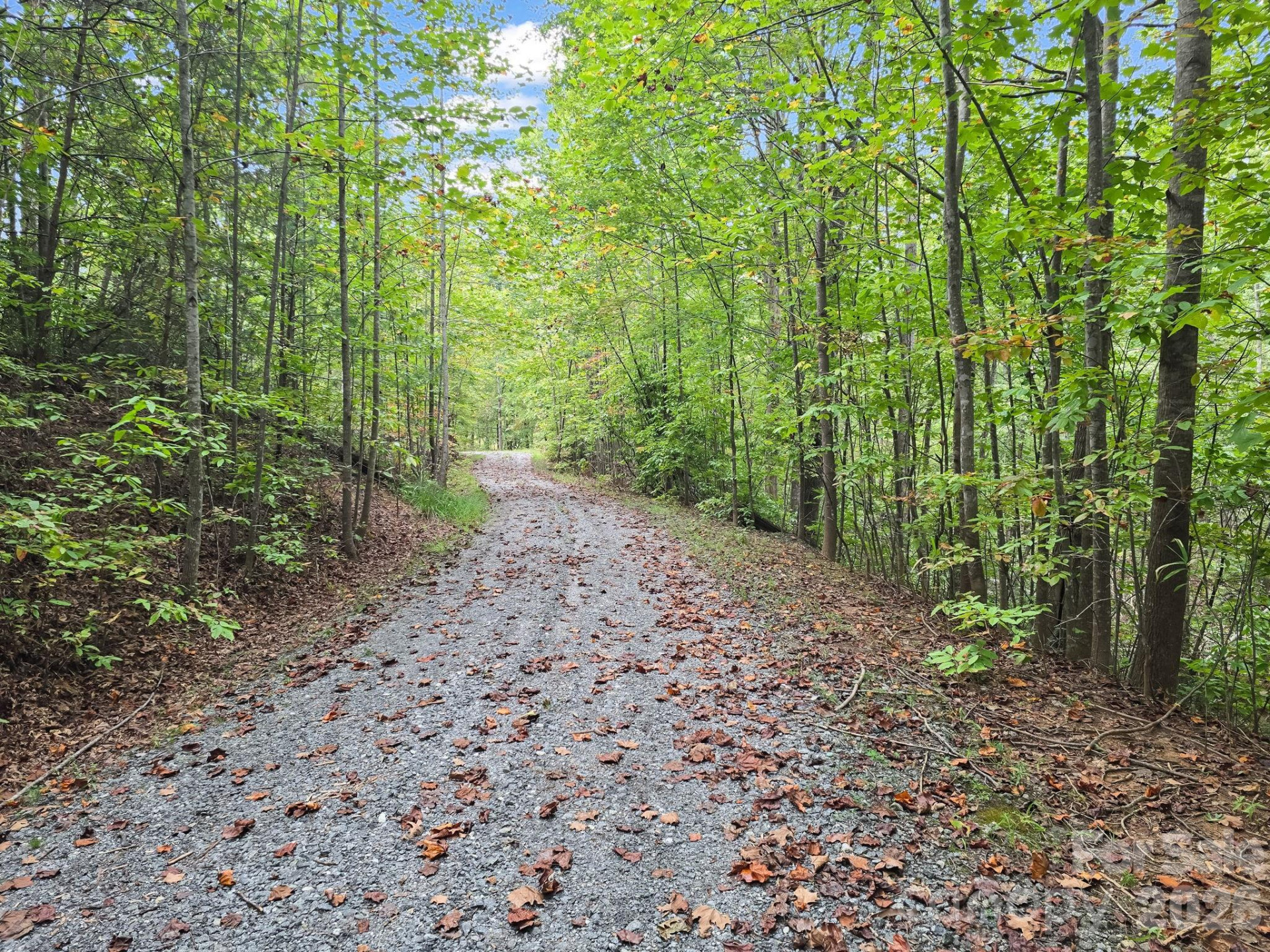 TBD Highland Farms Road #6 - Photo 19