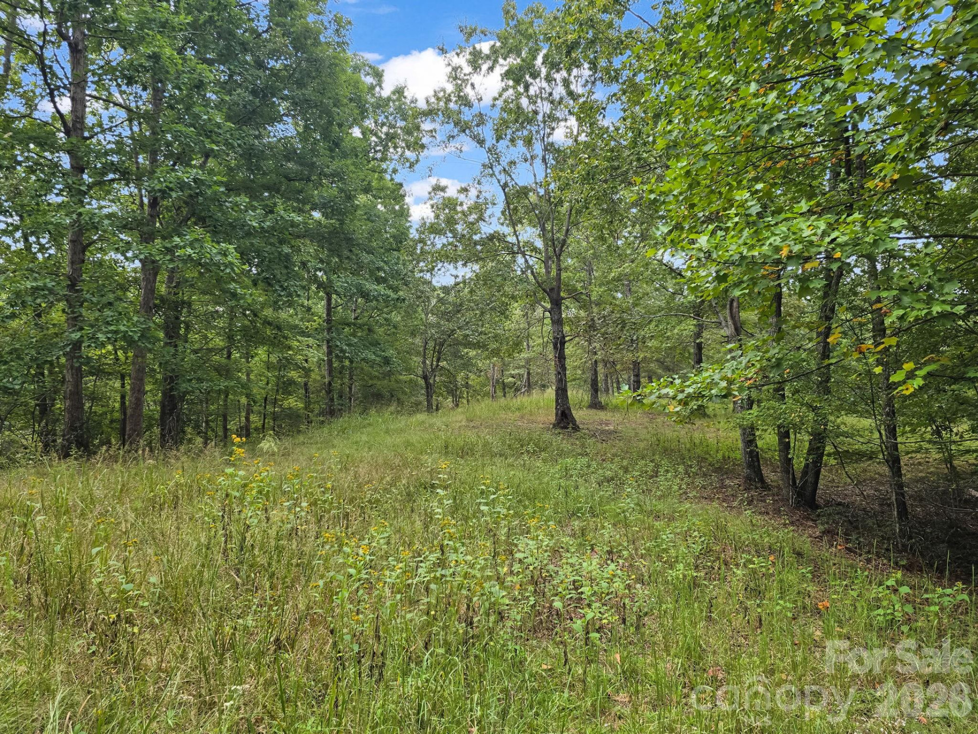 TBD Highland Farms Road #6 - Photo 20