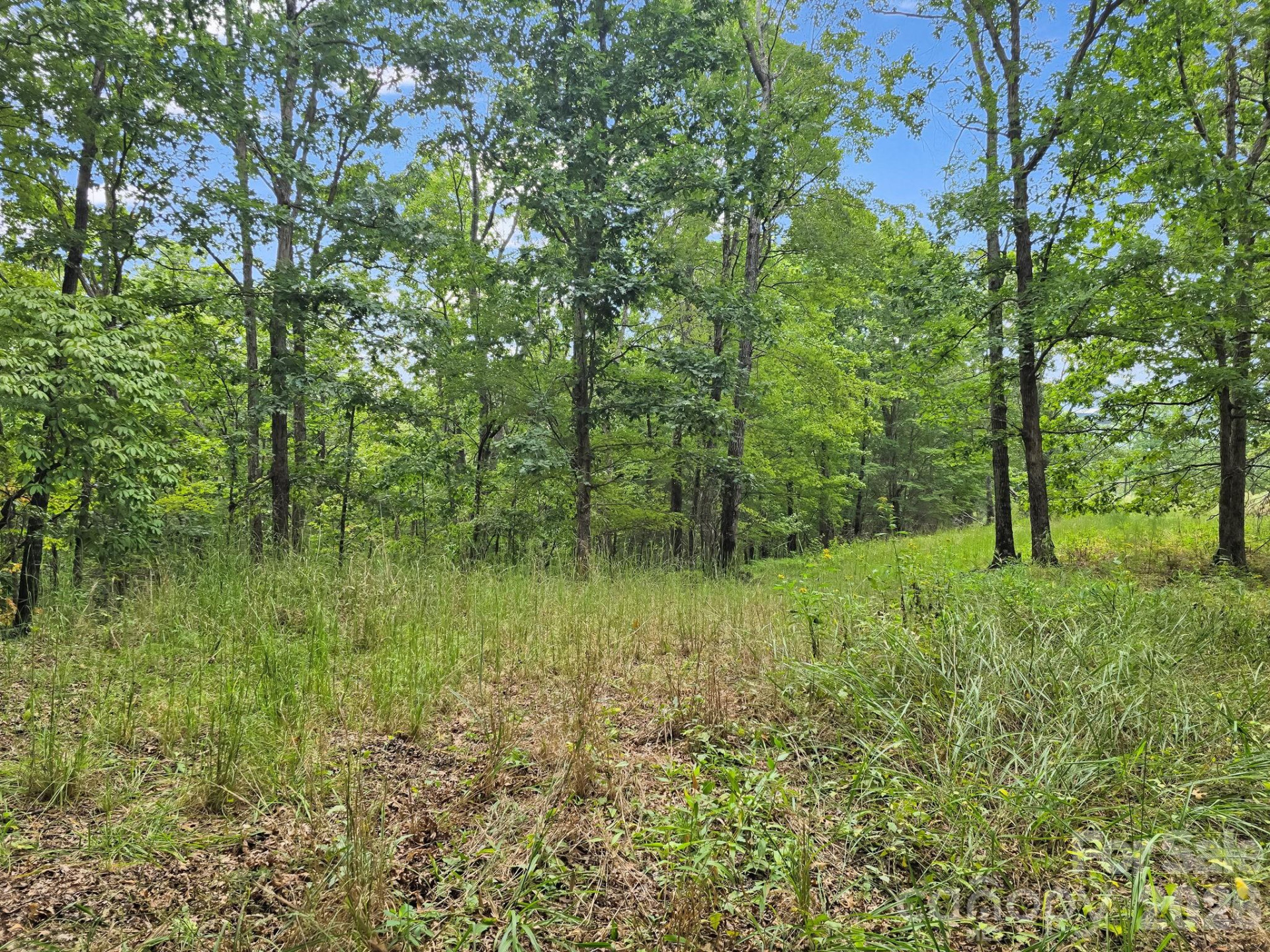 TBD Highland Farms Road #6 - Photo 21