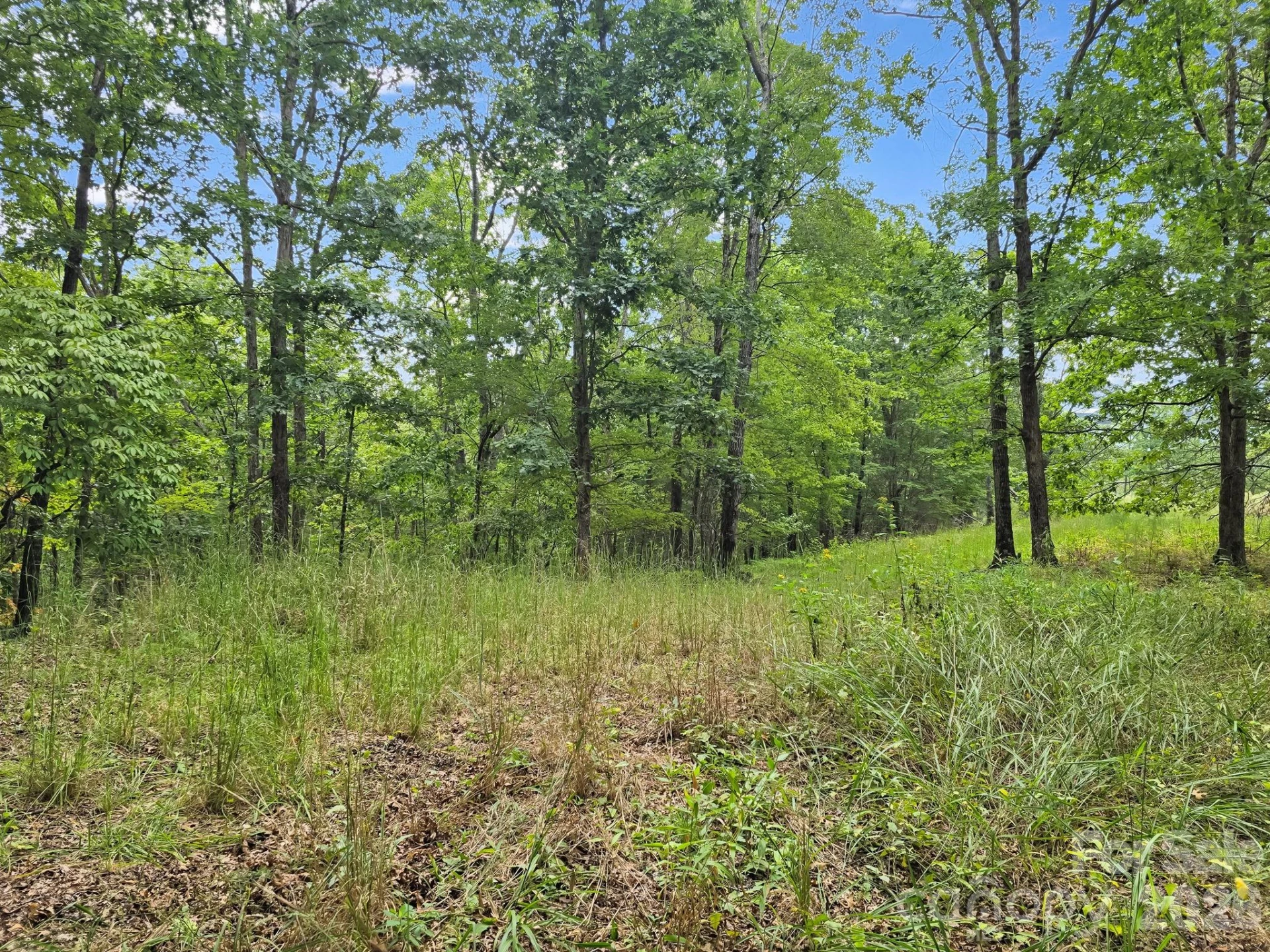 TBD Highland Farms Road #6 - Photo 21