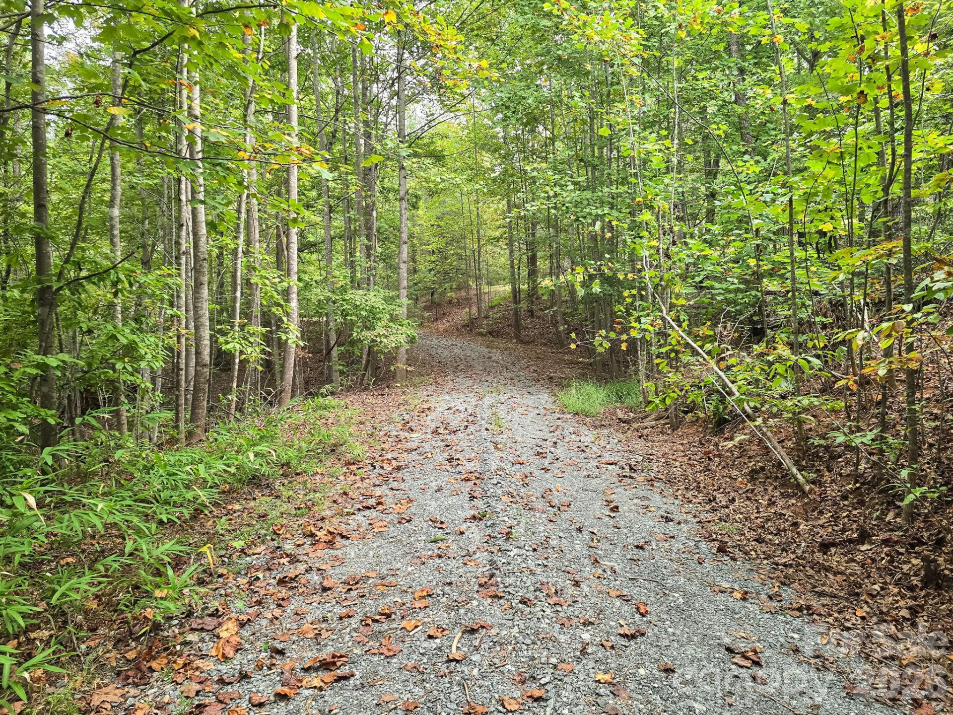 TBD Highland Farms Road #6 - Photo 28