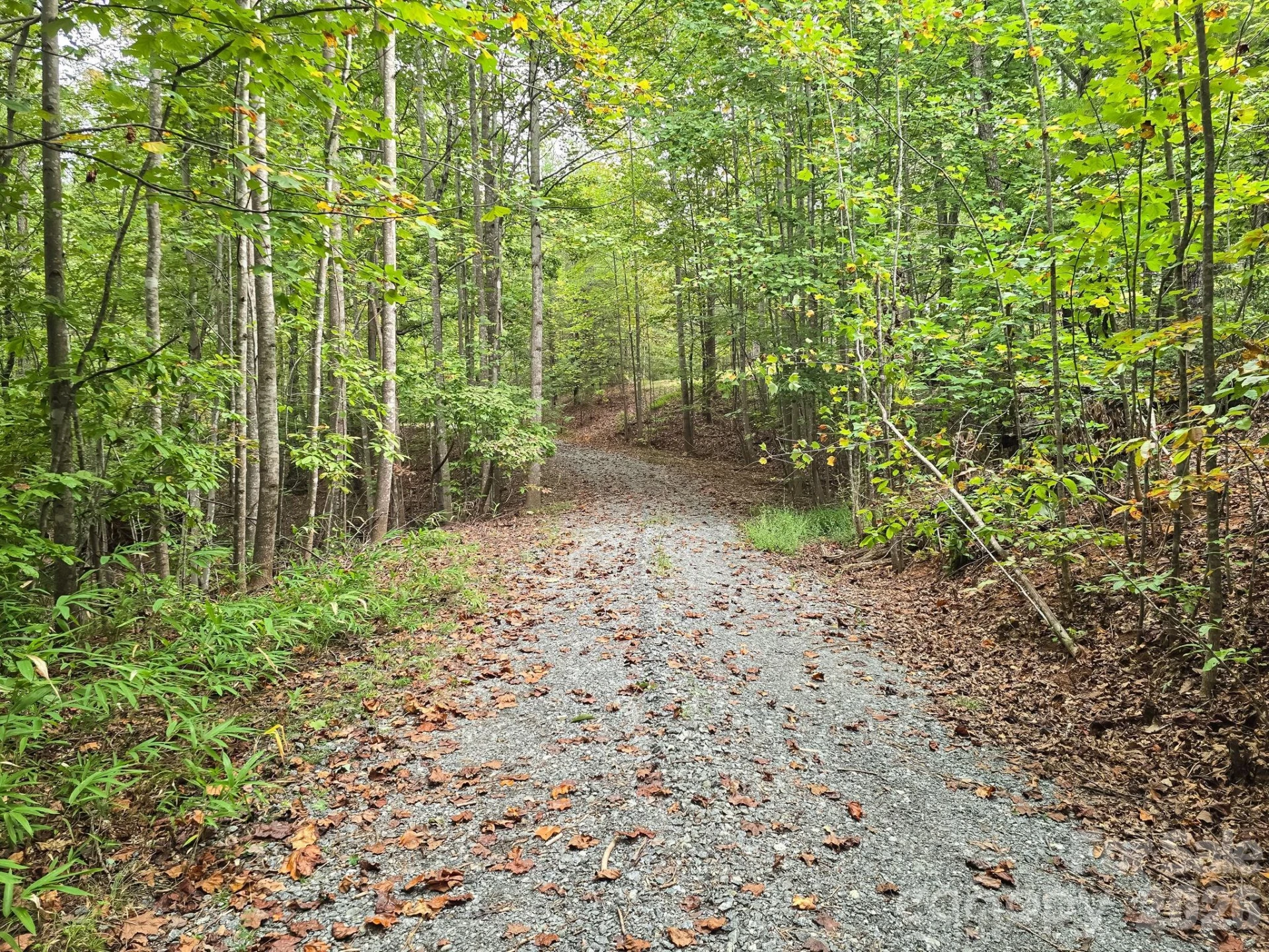 TBD Highland Farms Road #6 - Photo 28