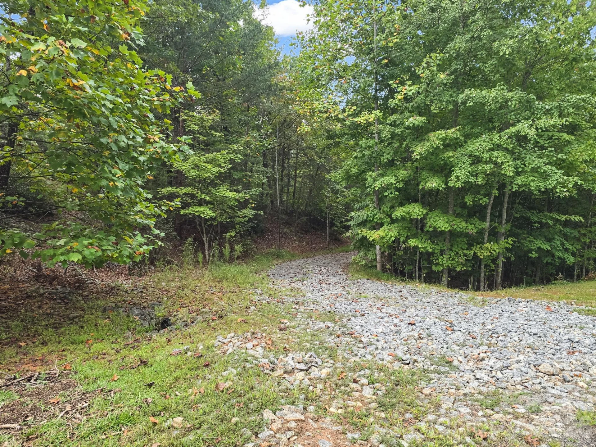 TBD Highland Farms Road #6 - Photo 29