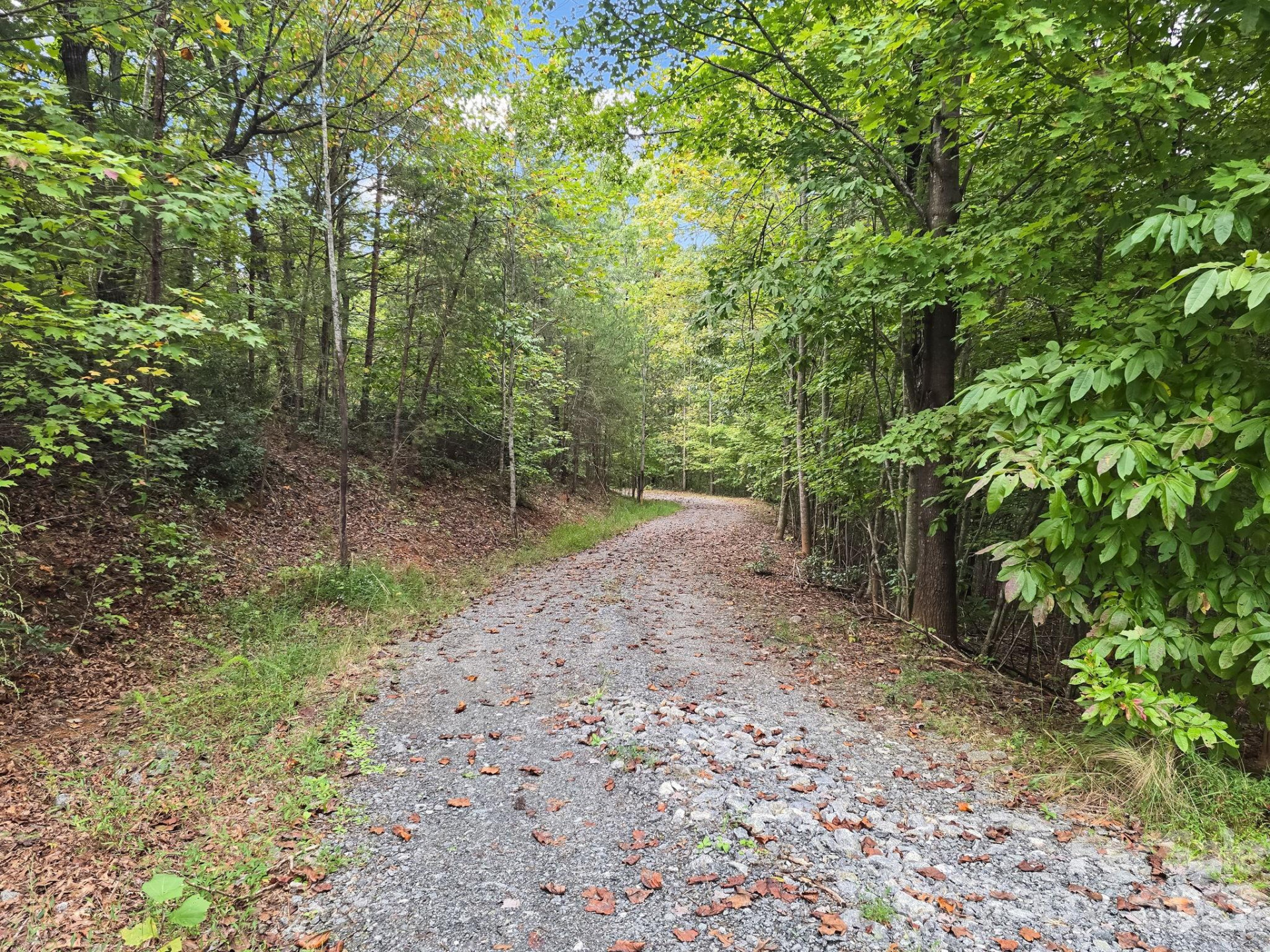 TBD Highland Farms Road #6 - Photo 30