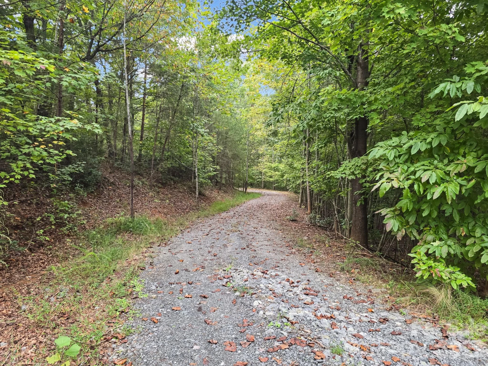 TBD Highland Farms Road #6 - Photo 30