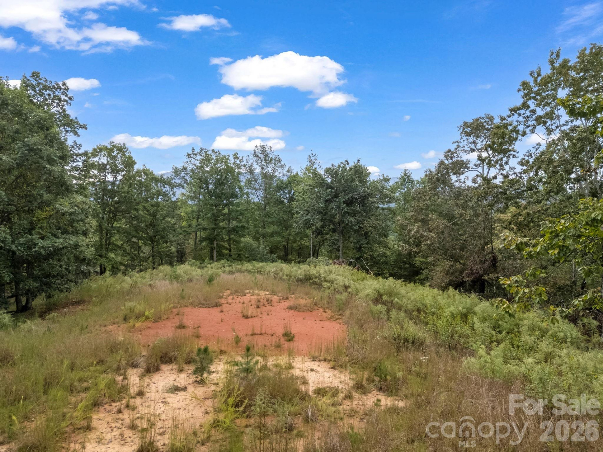 TBD Highland Farms Road #6 - Photo 6