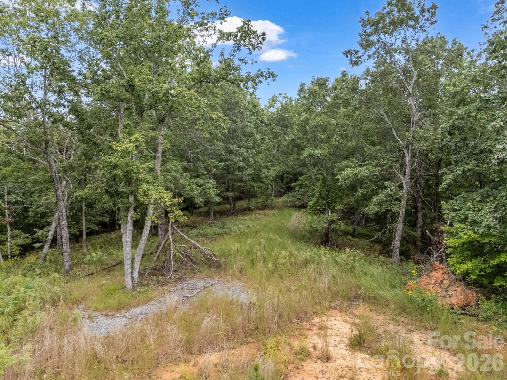 TBD Highland Farms Road #6 - Photo 8