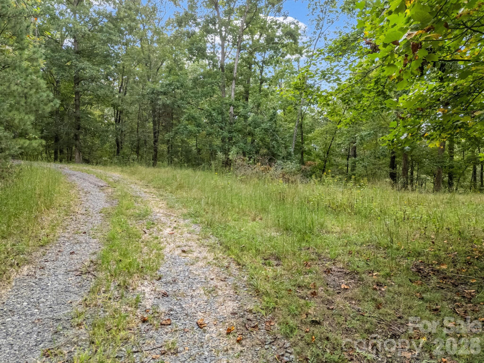 TBD Highland Farms Road #6 - Photo 9