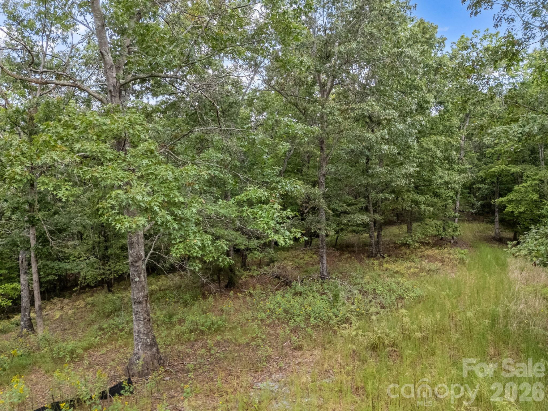 TBD Highland Farms Road #6 - Photo 10