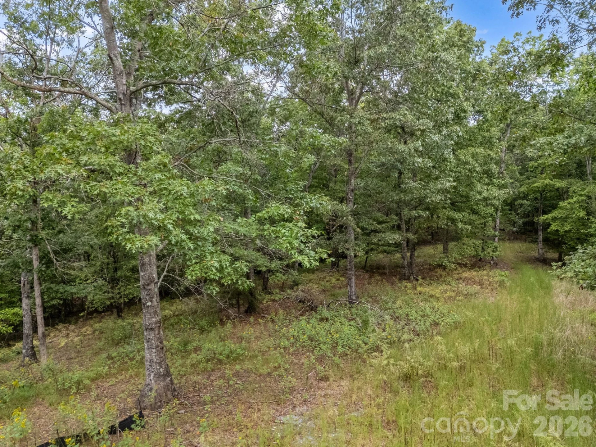 TBD Highland Farms Road #6 - Photo 10