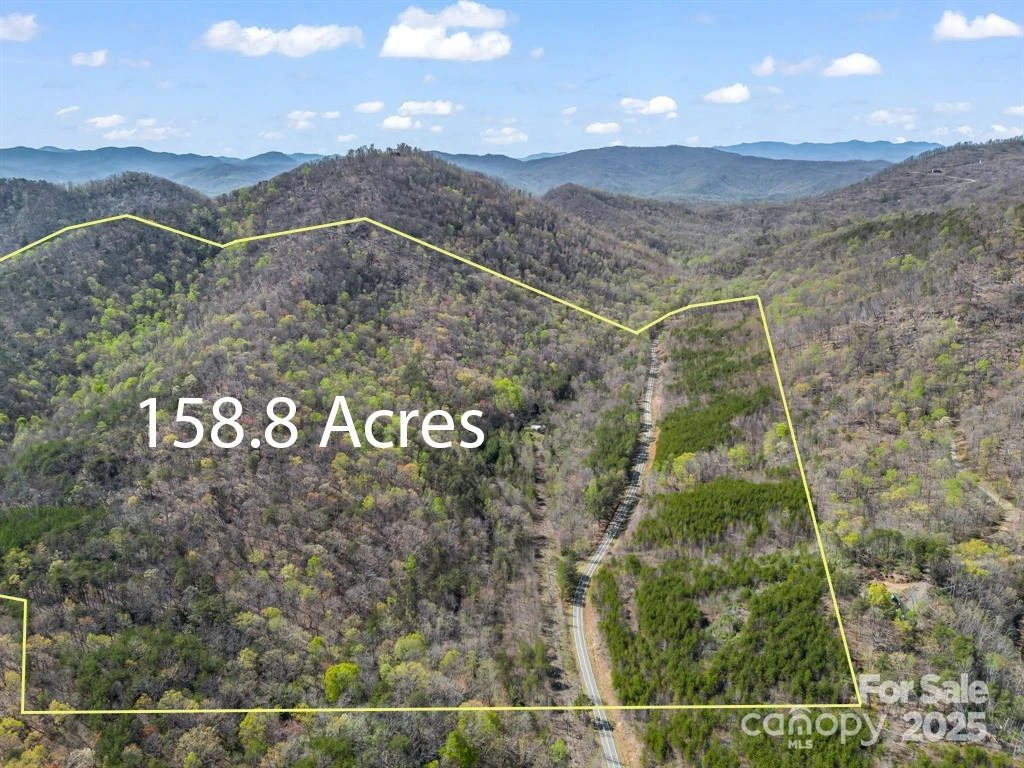 2921 Painters Gap Road - Photo 2