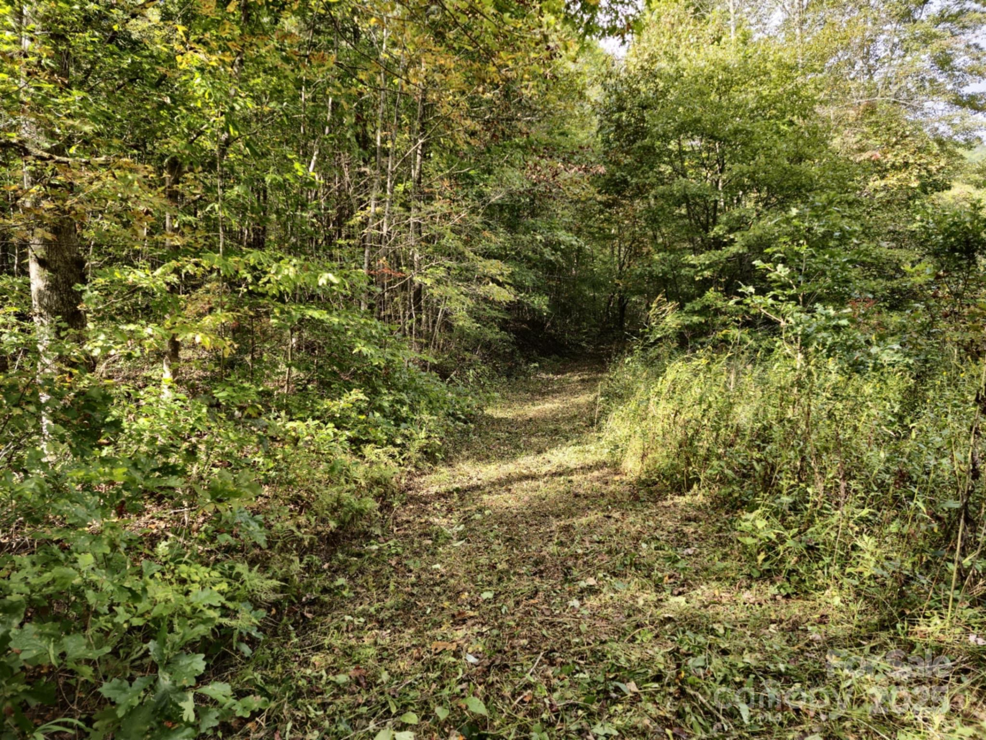 2921 Painters Gap Road - Photo 11