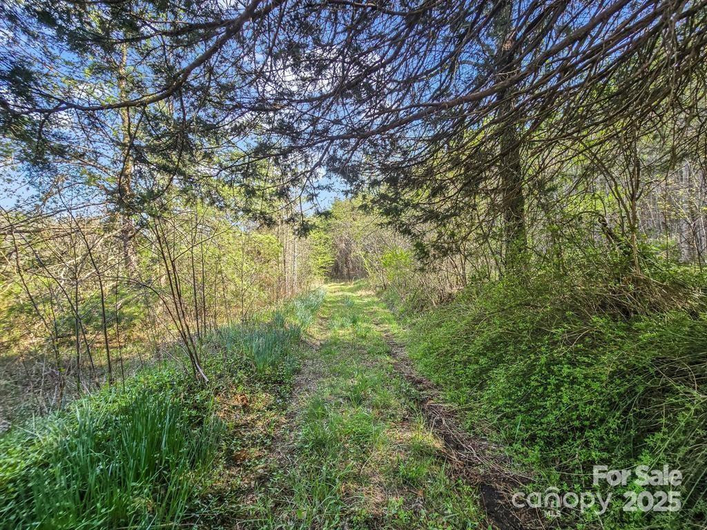 2921 Painters Gap Road - Photo 12