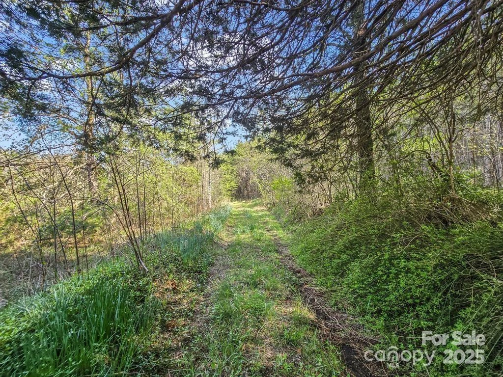 2921 Painters Gap Road - Photo 12