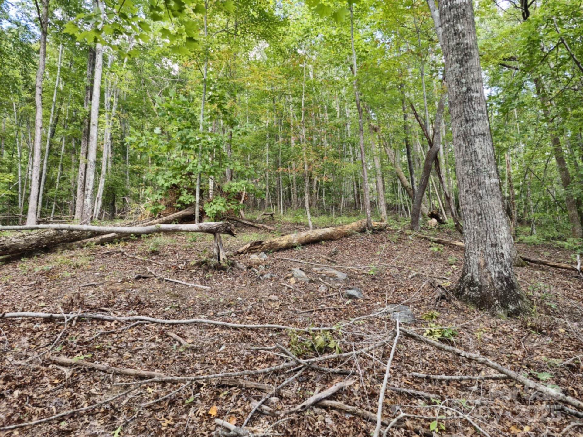 2921 Painters Gap Road - Photo 13