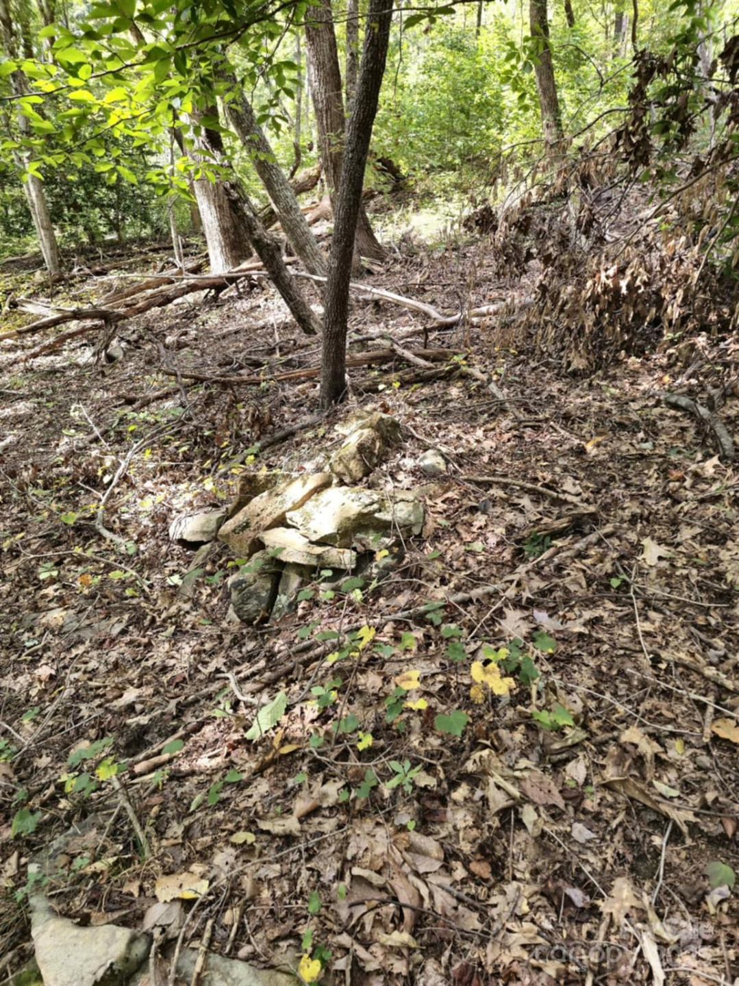 2921 Painters Gap Road - Photo 14