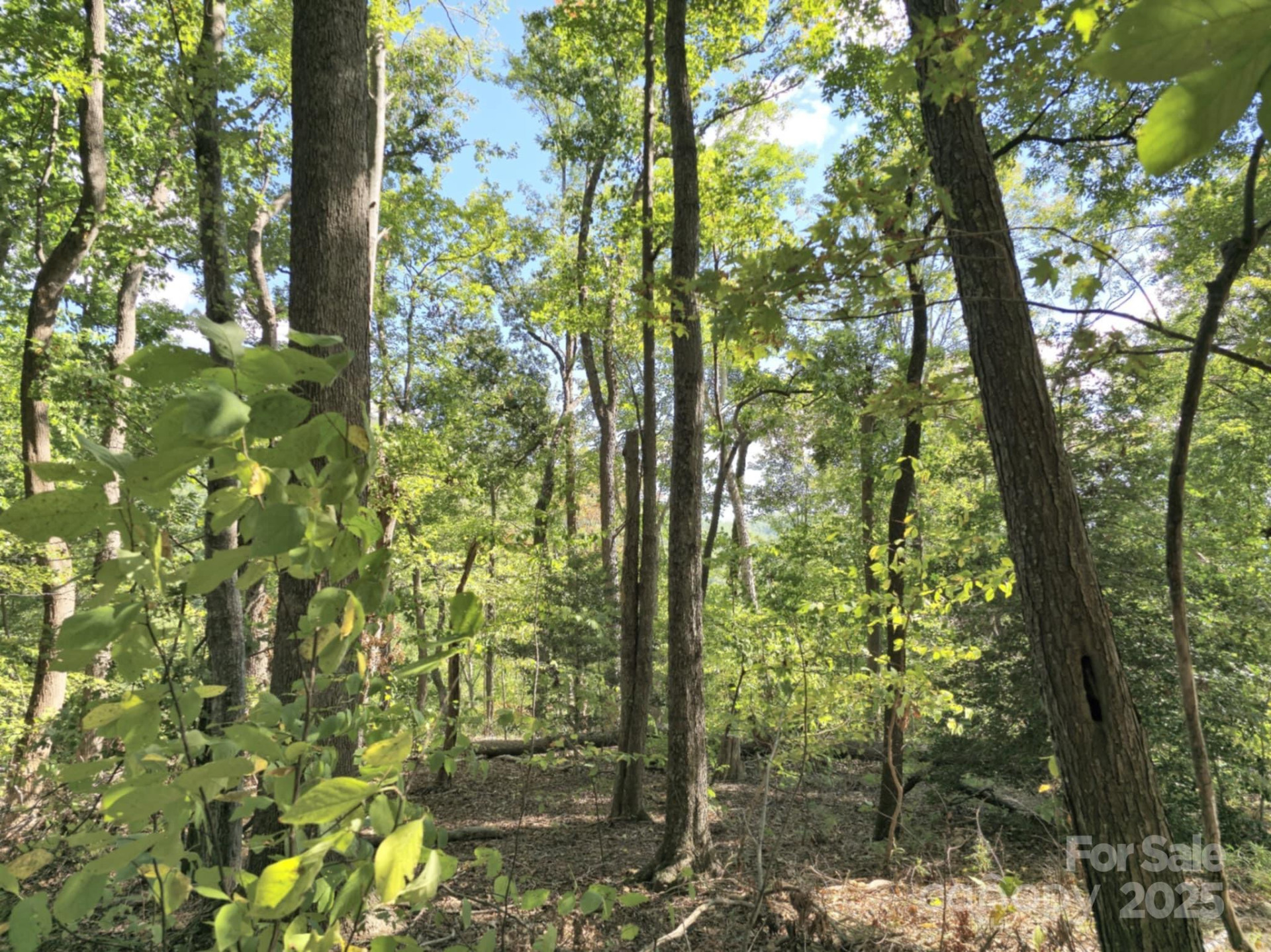 2921 Painters Gap Road - Photo 15