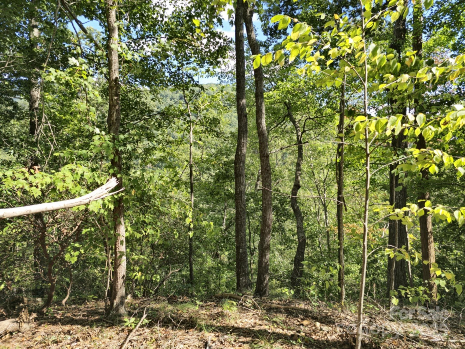 2921 Painters Gap Road - Photo 16