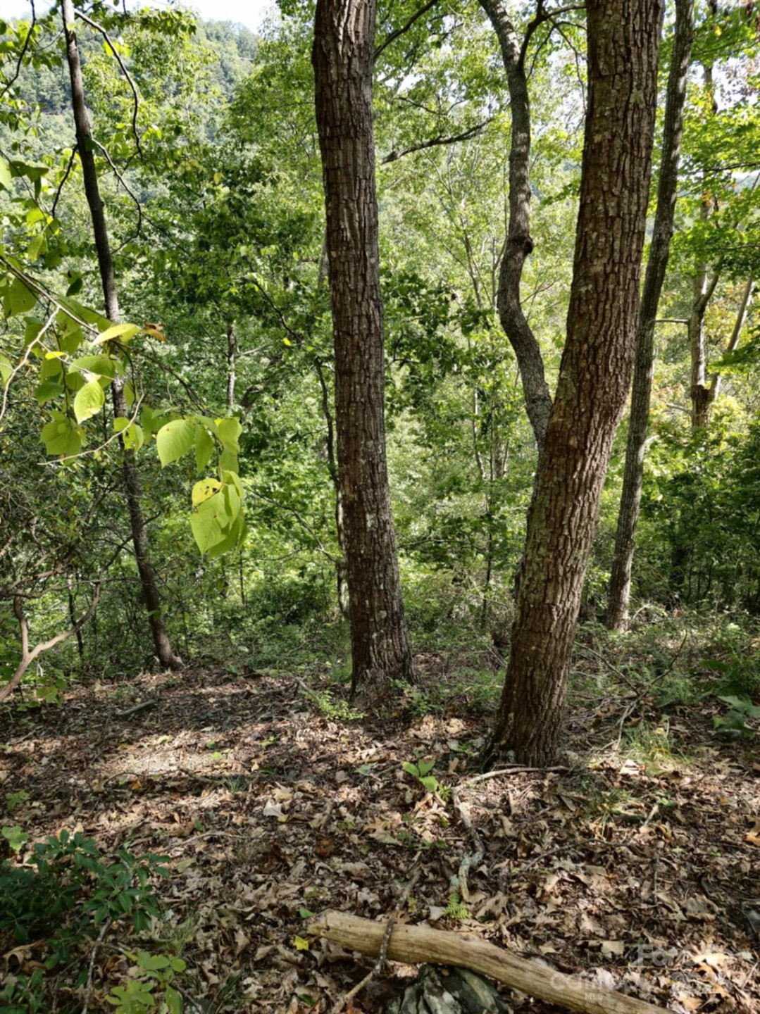 2921 Painters Gap Road - Photo 17