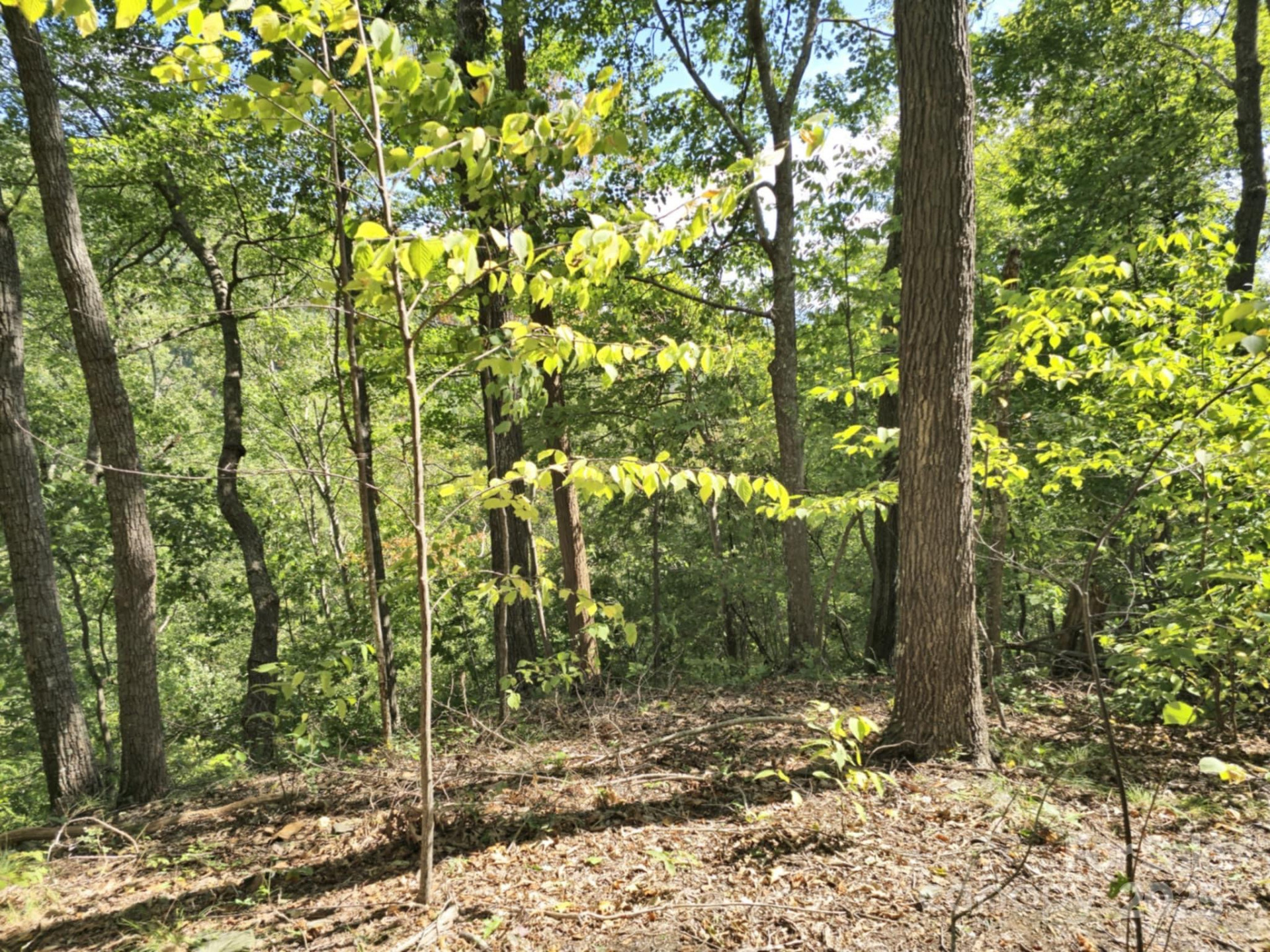 2921 Painters Gap Road - Photo 18