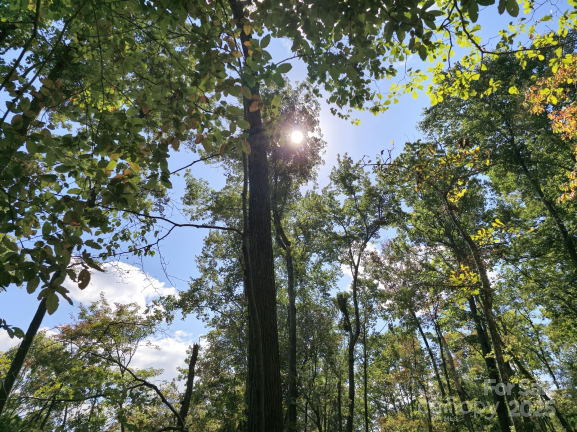 2921 Painters Gap Road - Photo 19