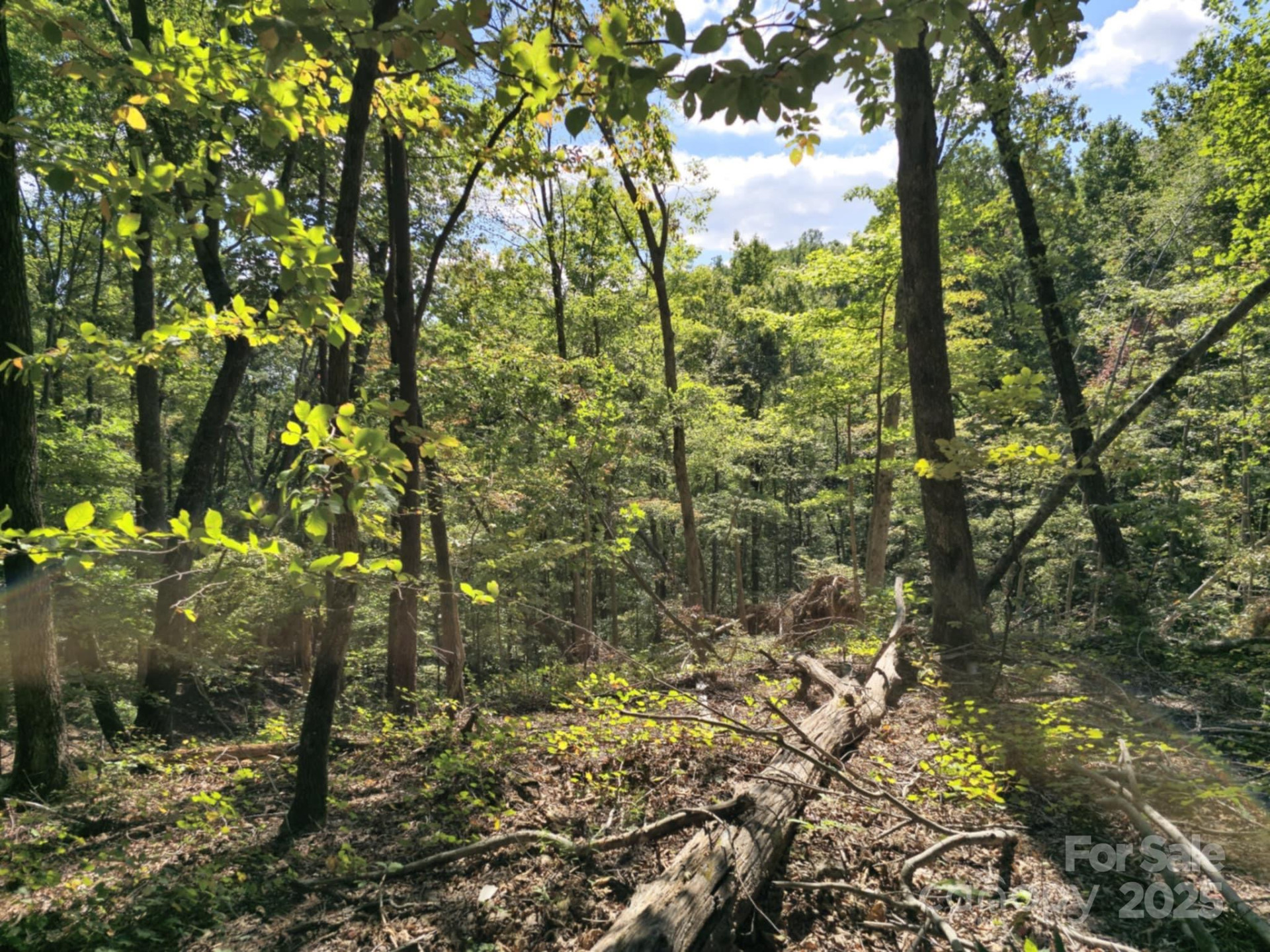 2921 Painters Gap Road - Photo 20