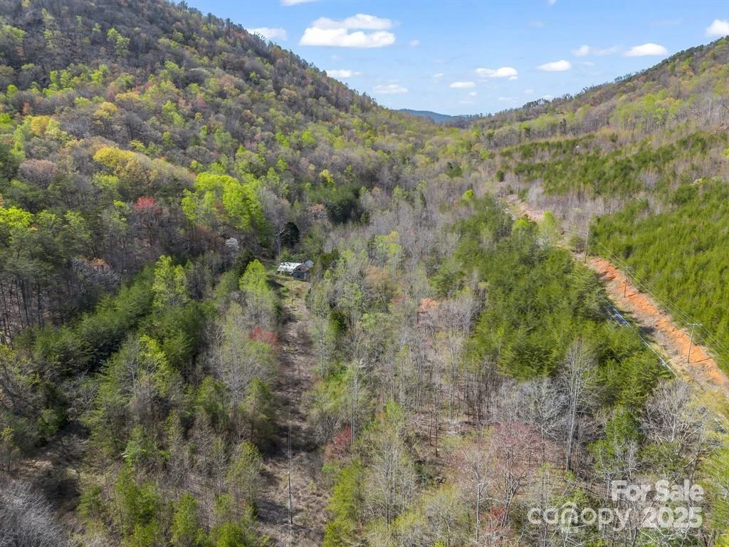 2921 Painters Gap Road - Photo 3