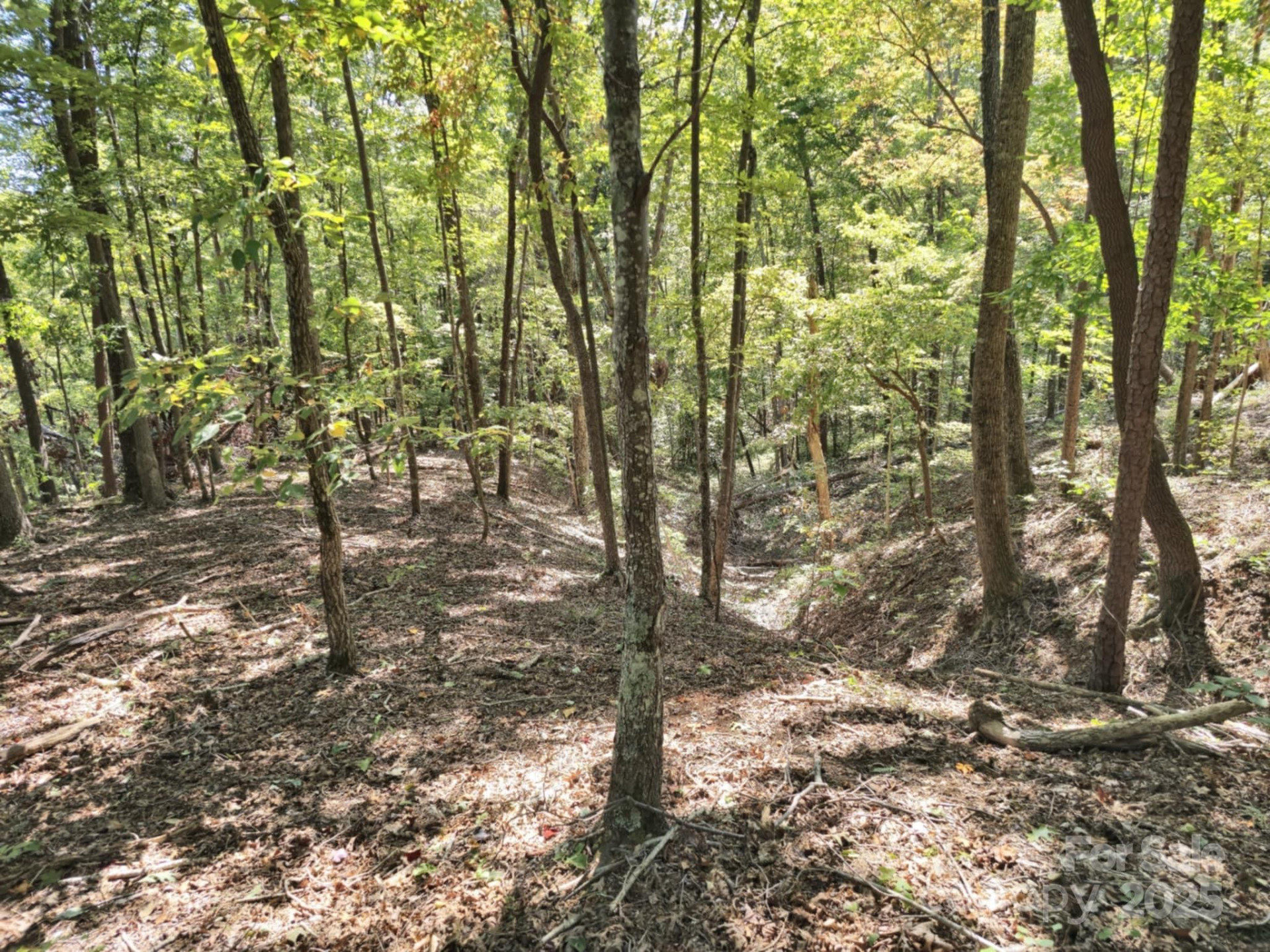 2921 Painters Gap Road - Photo 22