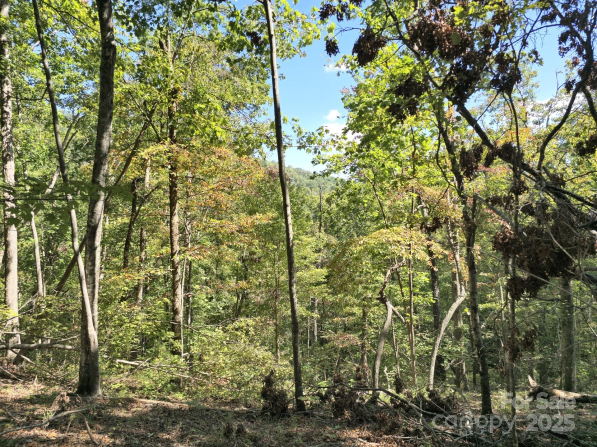 2921 Painters Gap Road - Photo 23