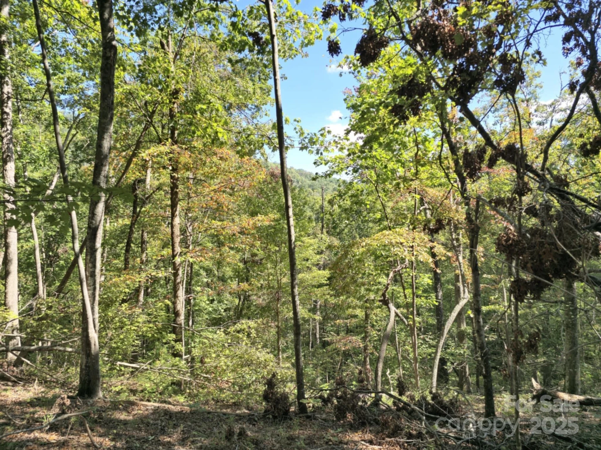 2921 Painters Gap Road - Photo 23