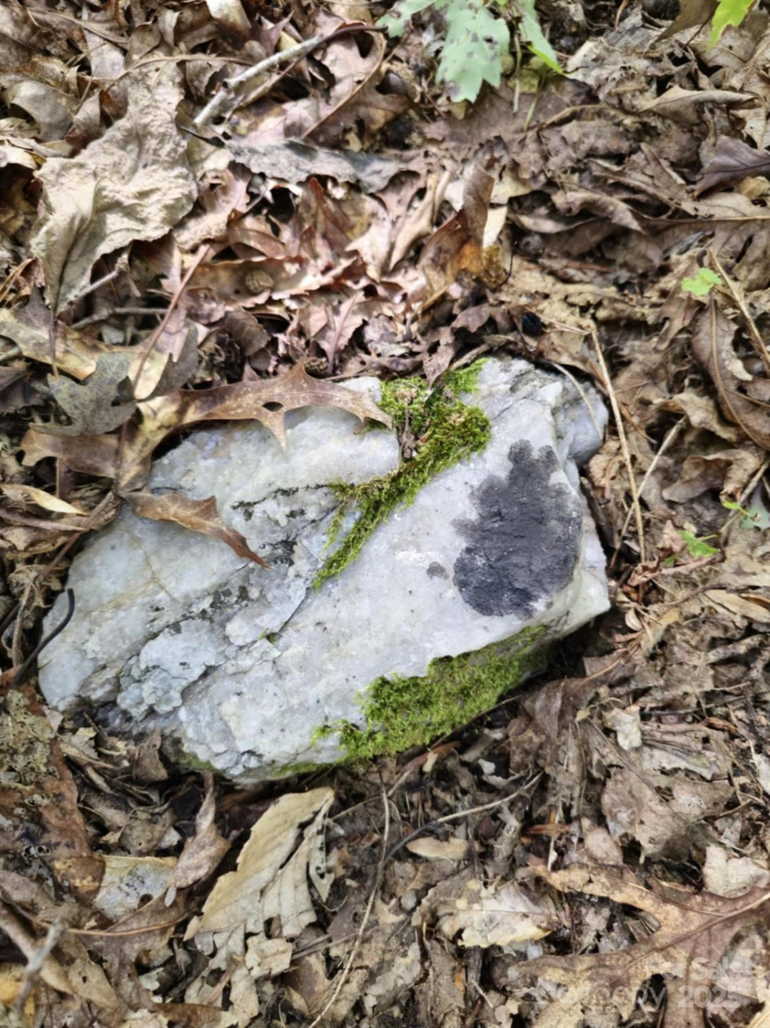 2921 Painters Gap Road - Photo 24