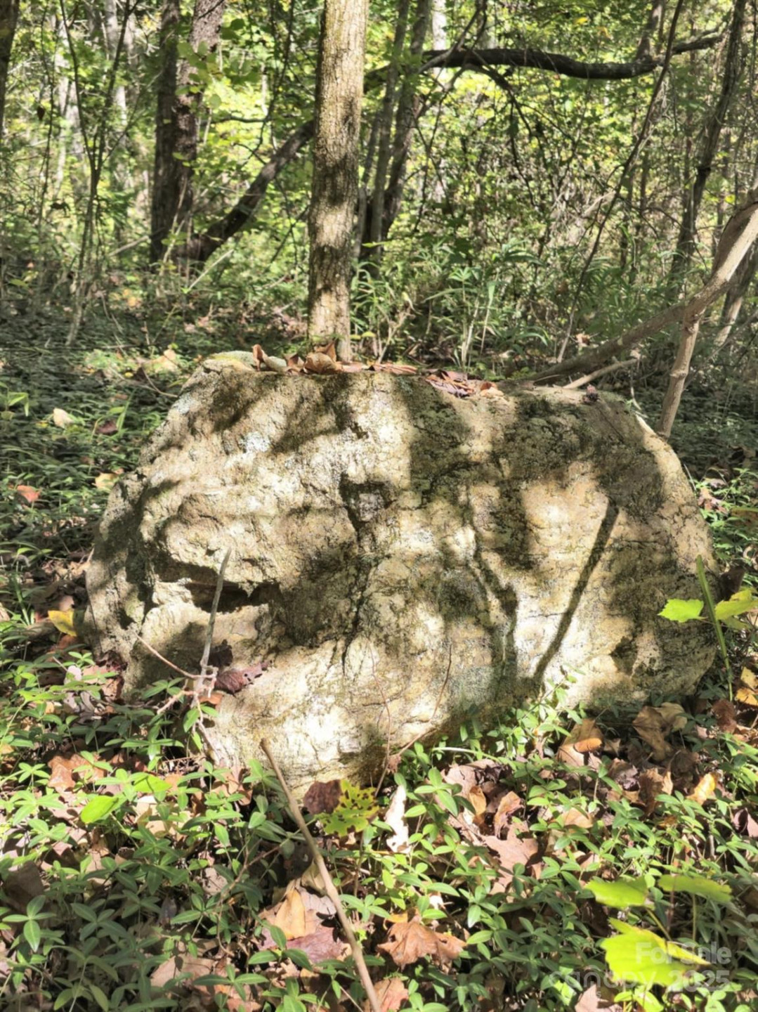 2921 Painters Gap Road - Photo 25