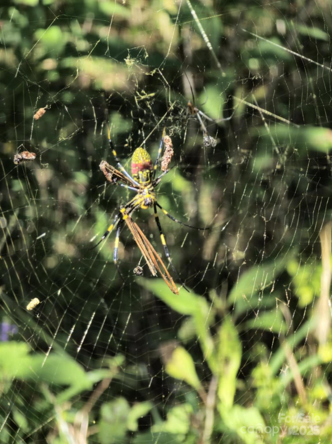 2921 Painters Gap Road - Photo 26