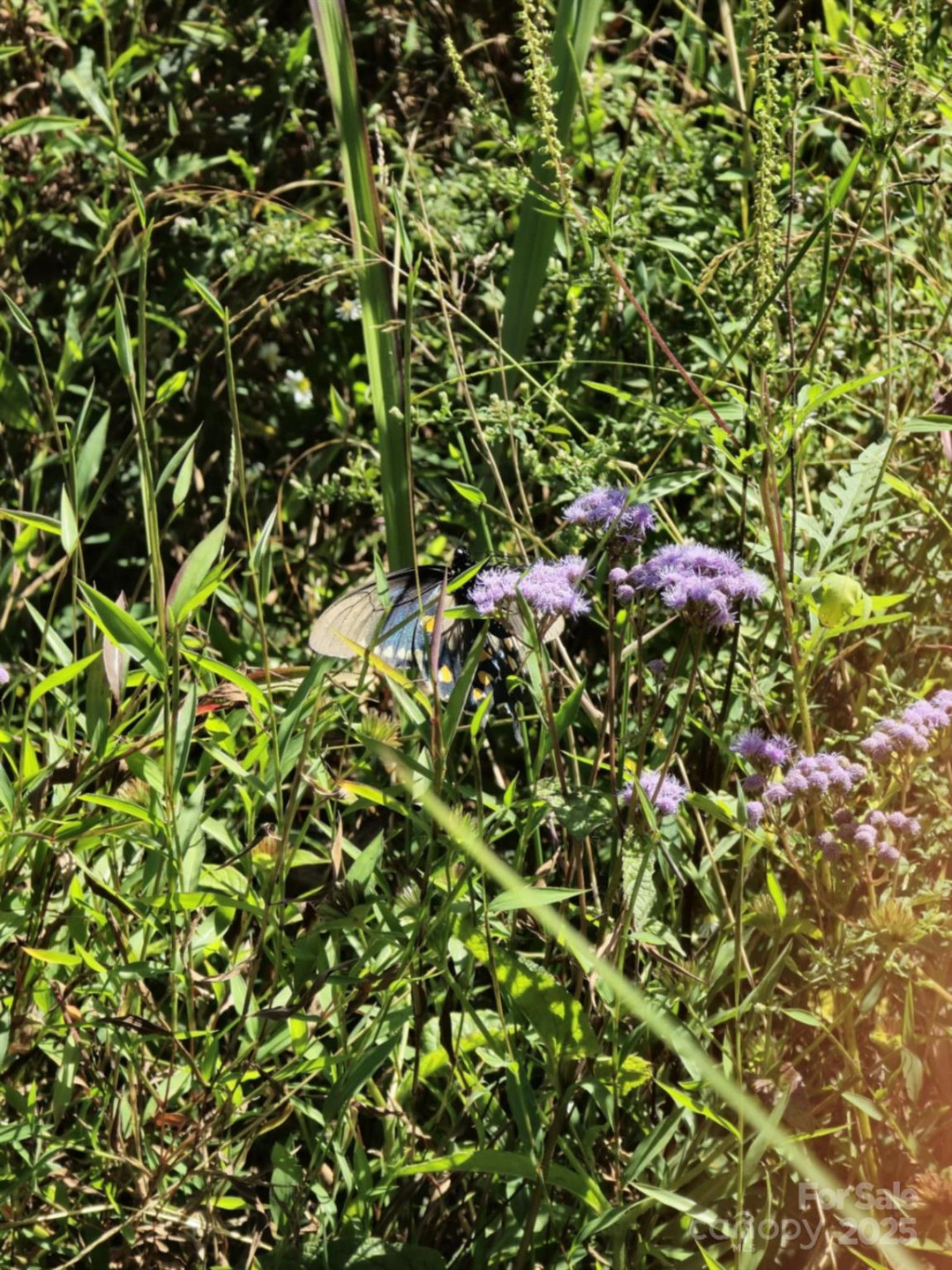 2921 Painters Gap Road - Photo 27