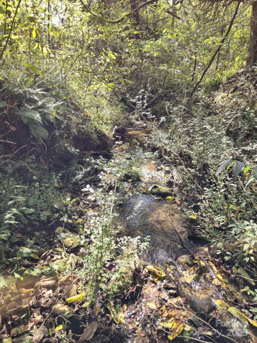 2921 Painters Gap Road - Photo 29