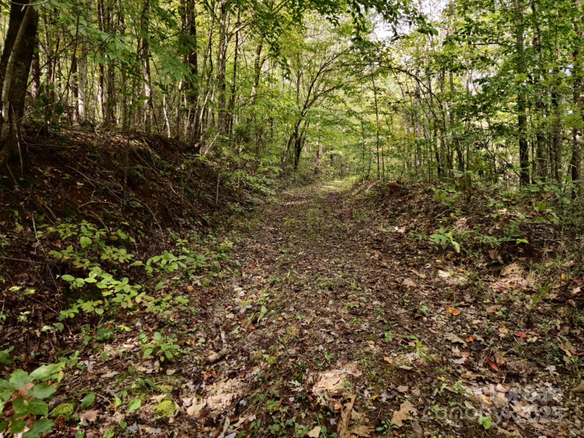 2921 Painters Gap Road - Photo 30