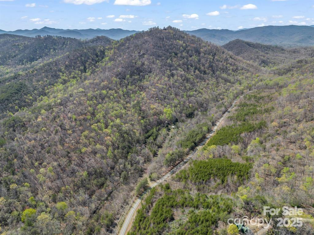 2921 Painters Gap Road - Photo 4