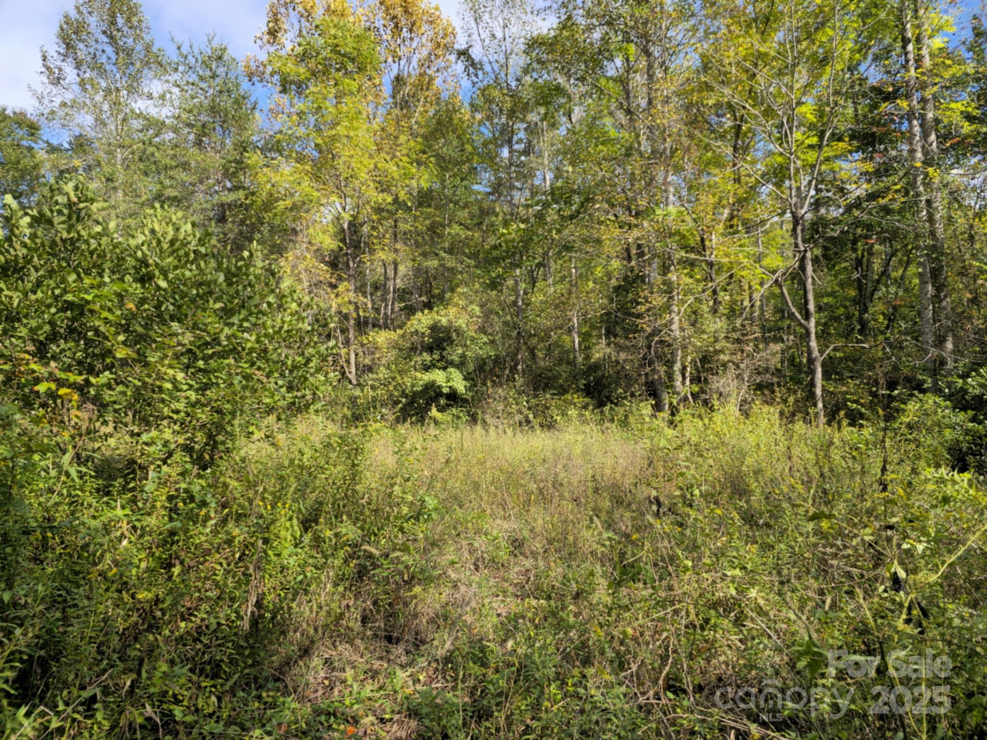 2921 Painters Gap Road - Photo 31