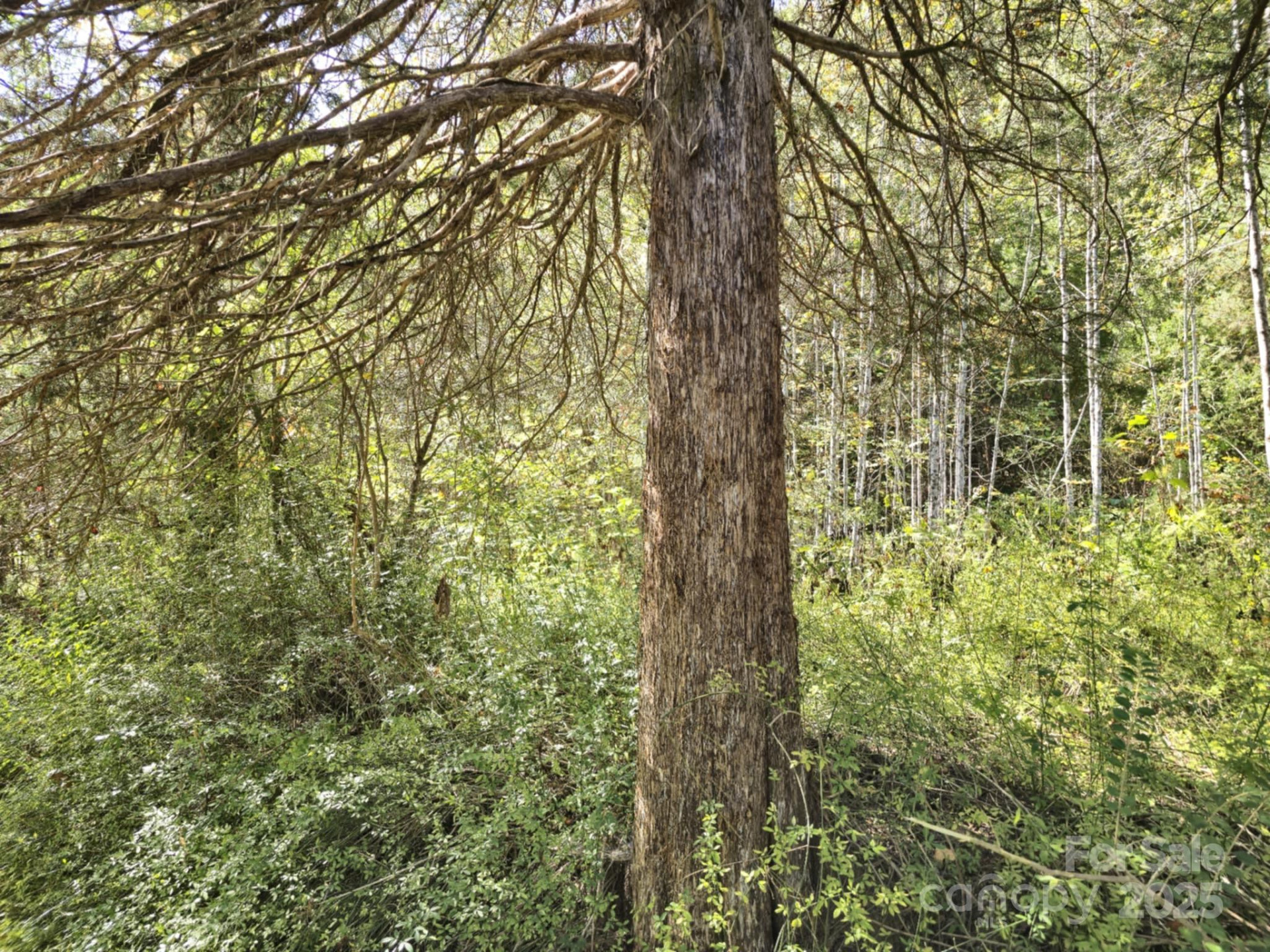 2921 Painters Gap Road - Photo 32