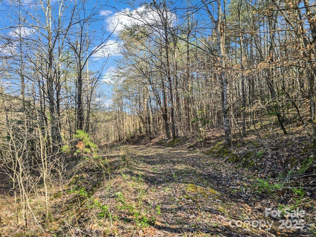 2921 Painters Gap Road - Photo 34