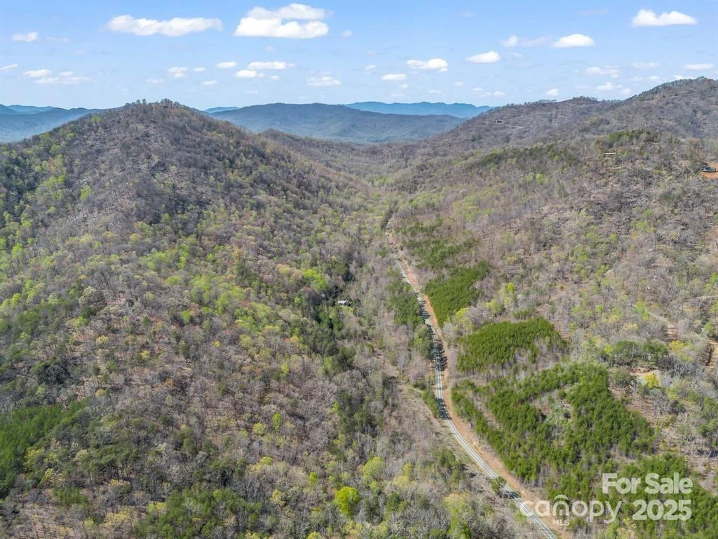 2921 Painters Gap Road - Photo 35