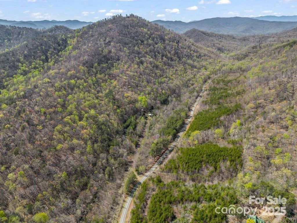 2921 Painters Gap Road - Photo 36