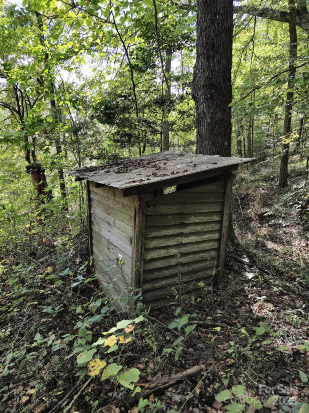 2921 Painters Gap Road - Photo 39