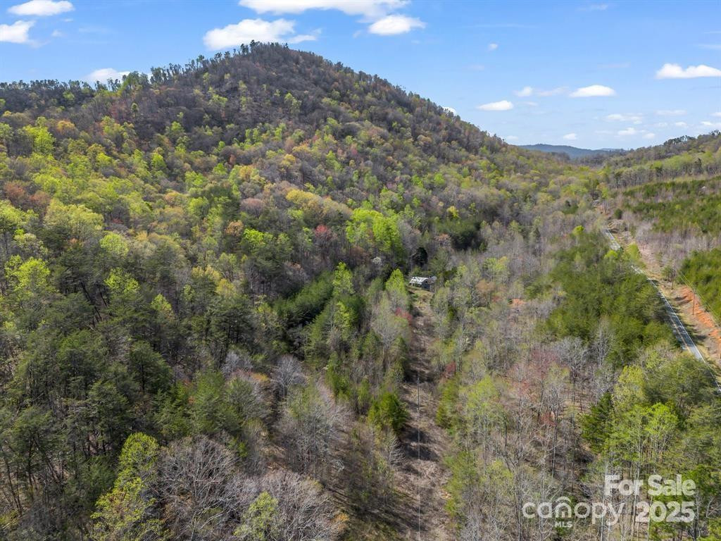 2921 Painters Gap Road - Photo 6