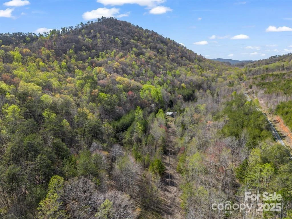 2921 Painters Gap Road - Photo 6