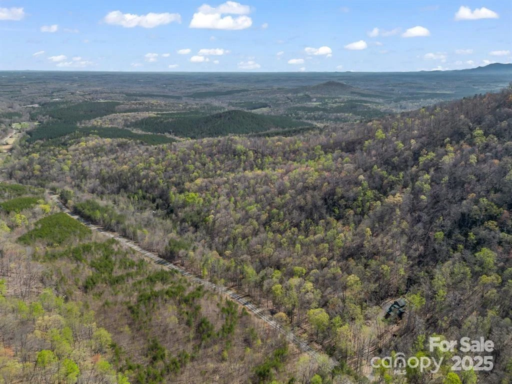 2921 Painters Gap Road - Photo 7