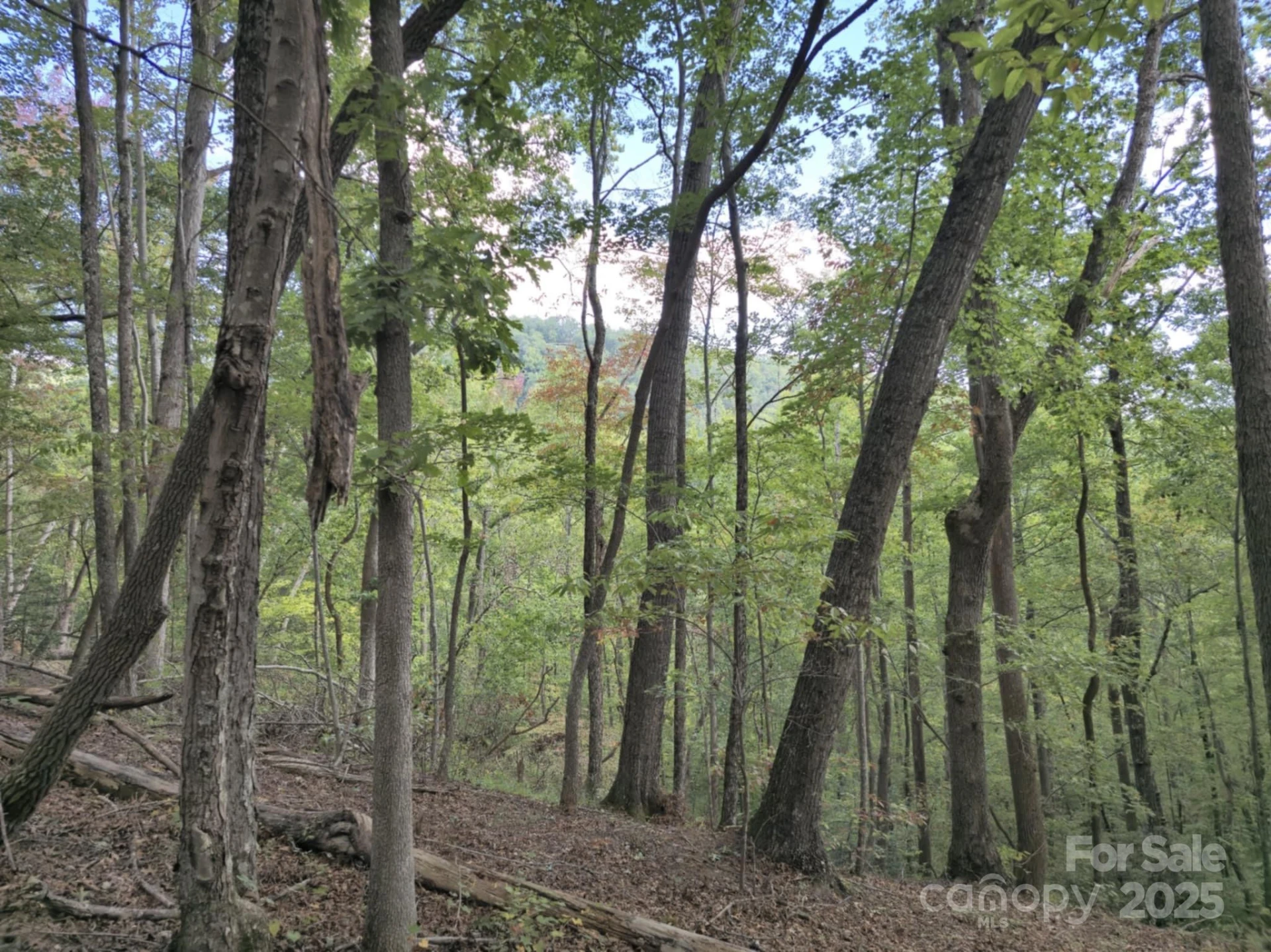 2921 Painters Gap Road - Photo 8