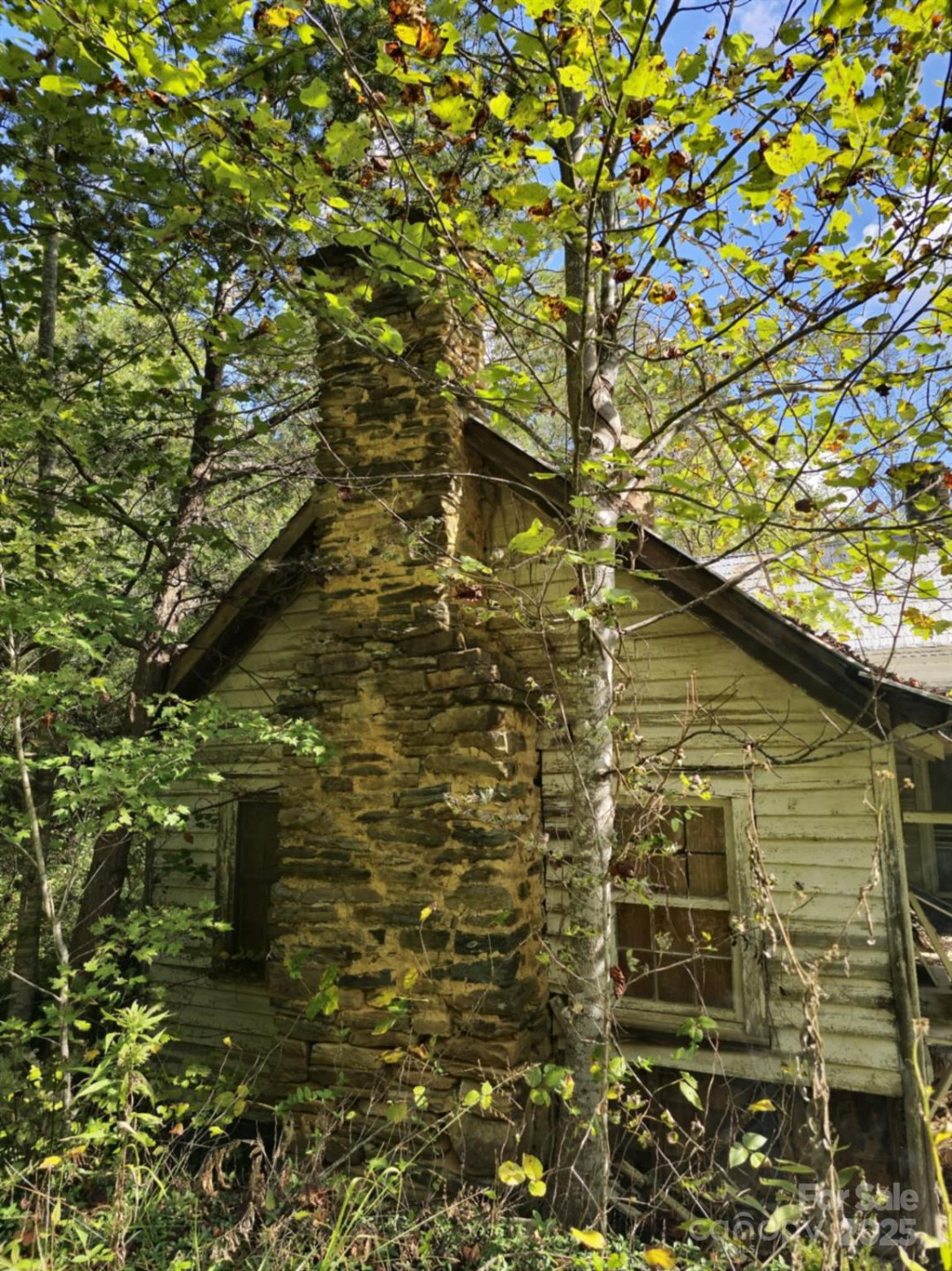 2921 Painters Gap Road - Photo 10